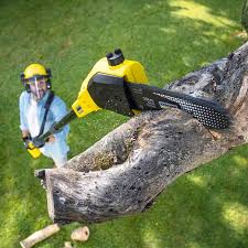 Leaf Removal in Granite Bay, CA