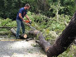 Best Aeration Services  in Granite Bay, CA