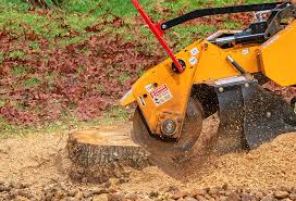 Professional Tree Care in Granite Bay, CA